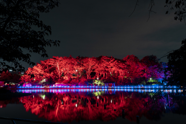 【YohaS】いよいよ本日から2日間にかけてYohaS 2023 本祭が夜の千葉公園で開催♪