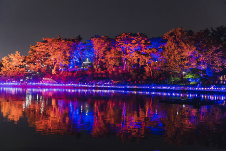 【YohaS】今夜も千葉公園をライトアップ！12日(月)まで♪