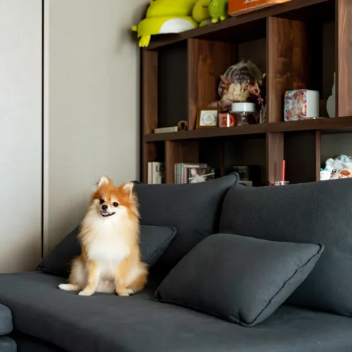 【中古マンションを買ってリノベーション】愛犬と始める新しい暮らしをbe nakedで。