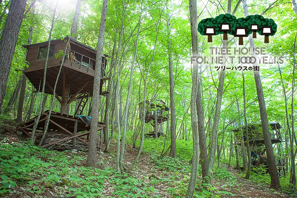 Tree Houses for Next Millennium, Tree House Community photo